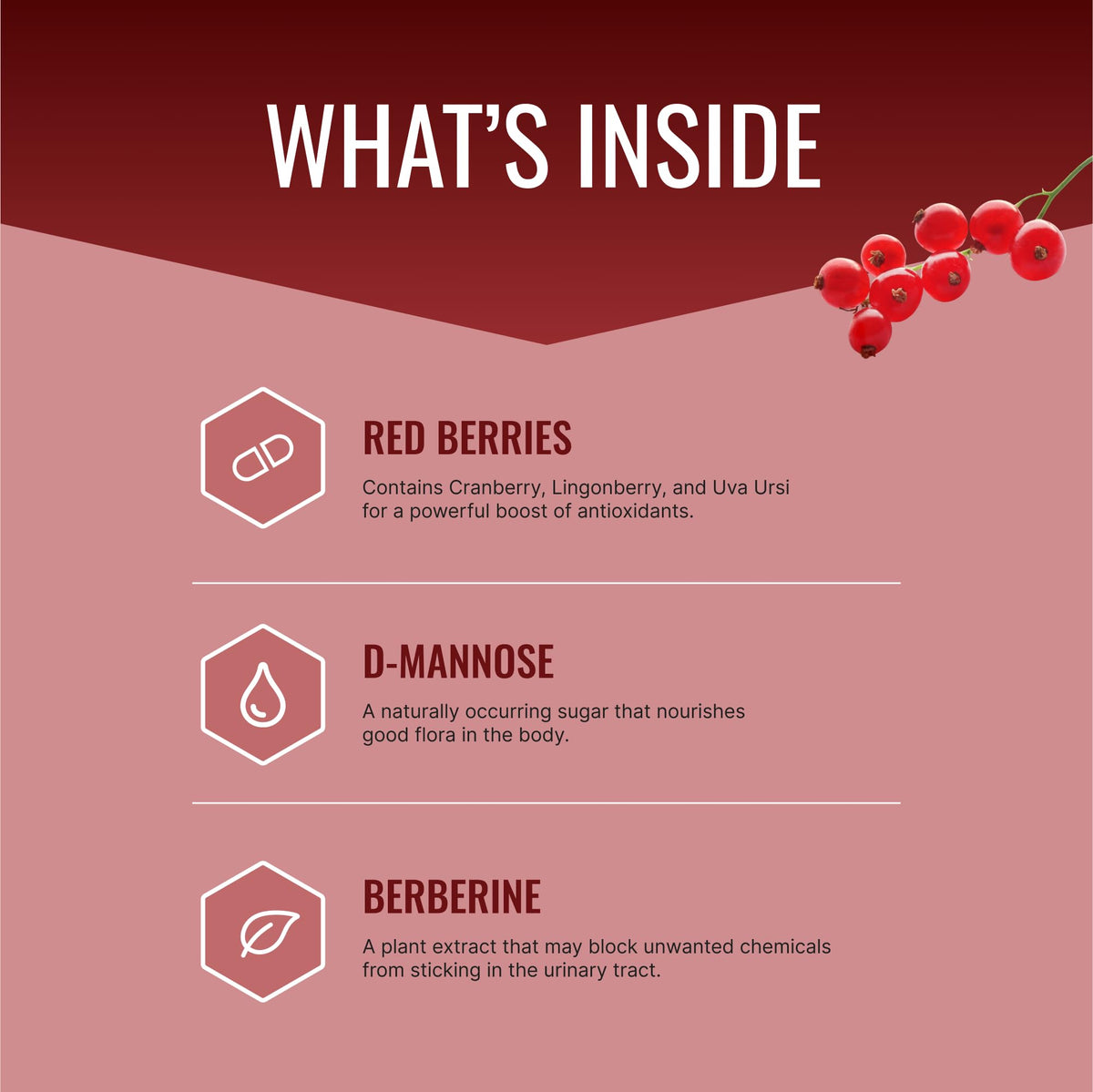 Approved Science® Krill Oil - Softgels