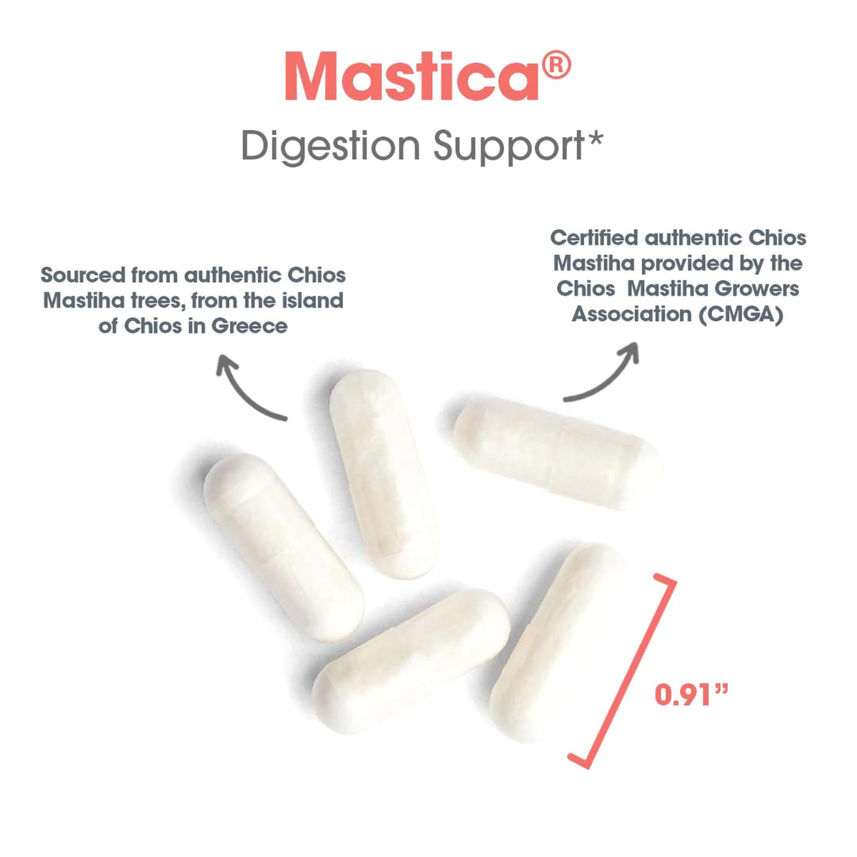 Allergy Research Group Mastica Chios Mastic Gum Digestive Support - 240 Capsules - image 5