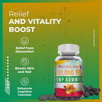 The CBD Project Organic Hemp Gummies - 50 Count - image 6