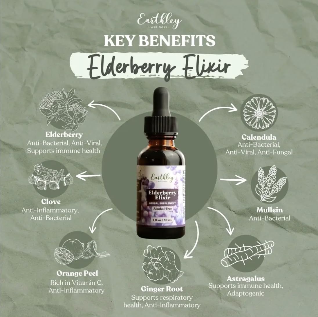 Earthley Elderberry Herbal Extract
