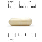 California Gold Nutrition French Maritime Pine Bark Extract - image 3