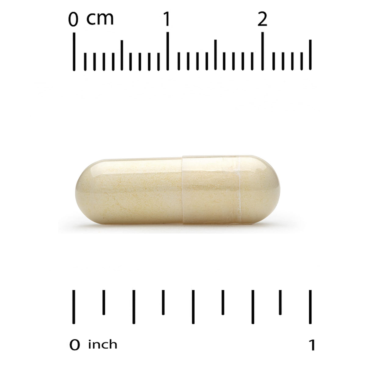California Gold Nutrition French Maritime Pine Bark Extract - image 3