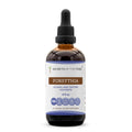 Secrets of the Tribe Forsythia Tincture Alcohol-Free Extract - 4 Fl Oz