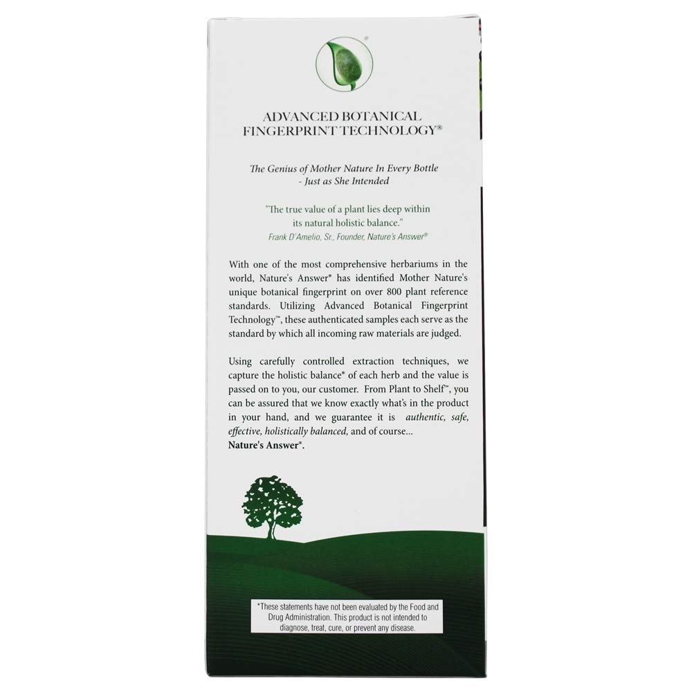 Nature's Answer Sambucus Elderberry Liquid Extract - 8 fl. oz. - image 4