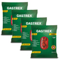 BAN Gastrex Ayurvedic Digestive Support Tablet - 400 Tablets