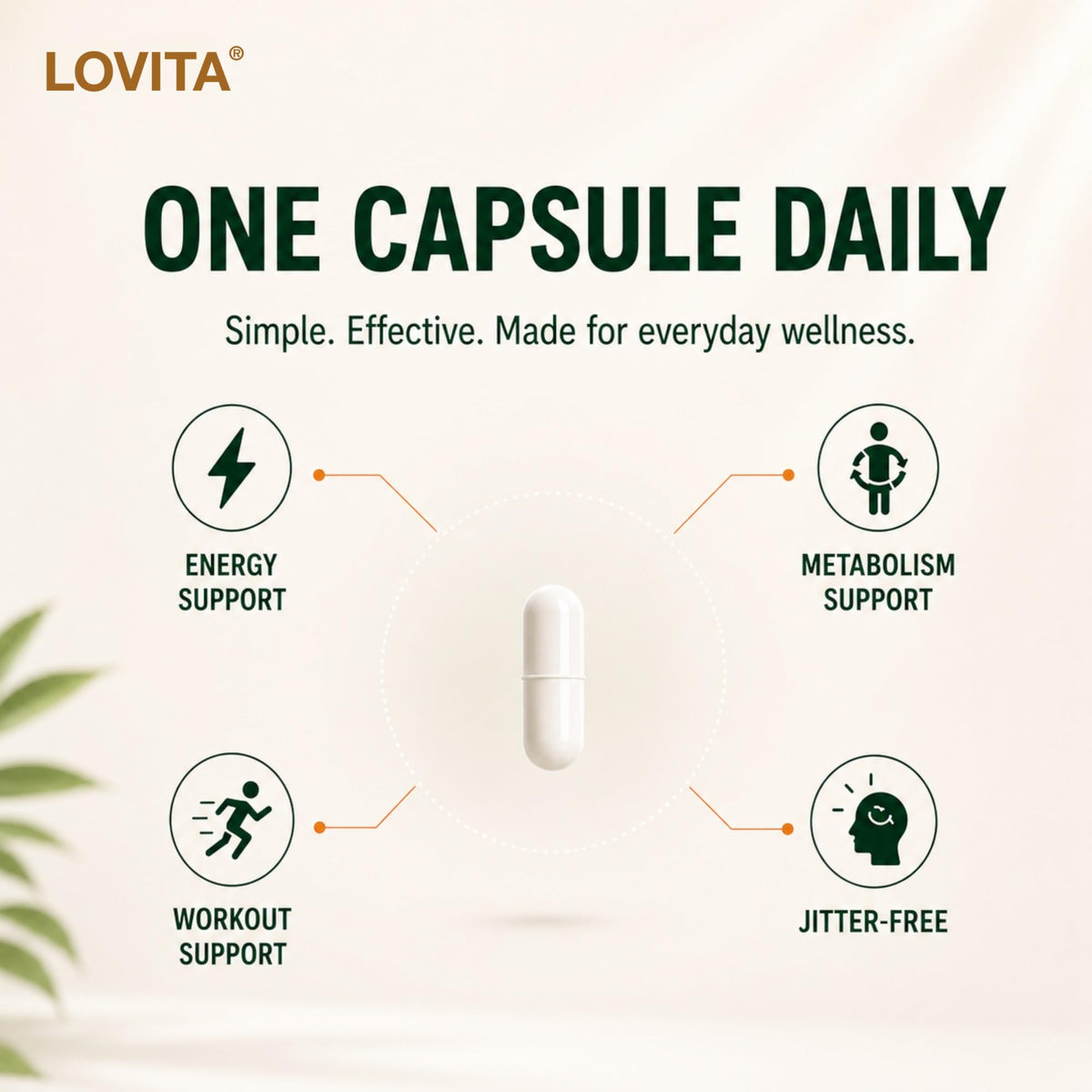 LOVITA Green Coffee Bean Extract 50% Chlorogenic Acid - 180 Vegan Capsules - image 9