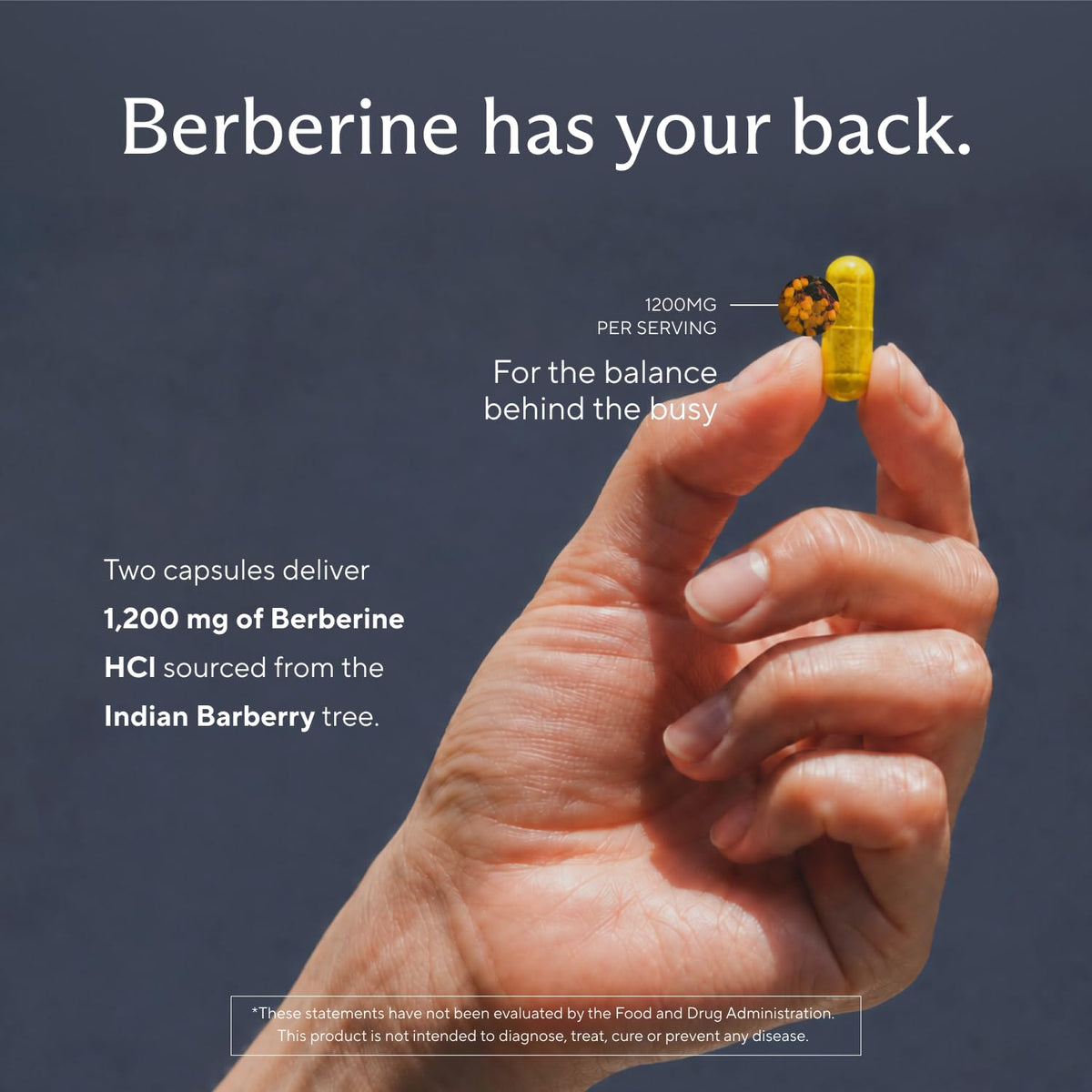 Sunergetic Berberine HCl 1,200 mg Metabolic Support - 60 Capsules - image 4