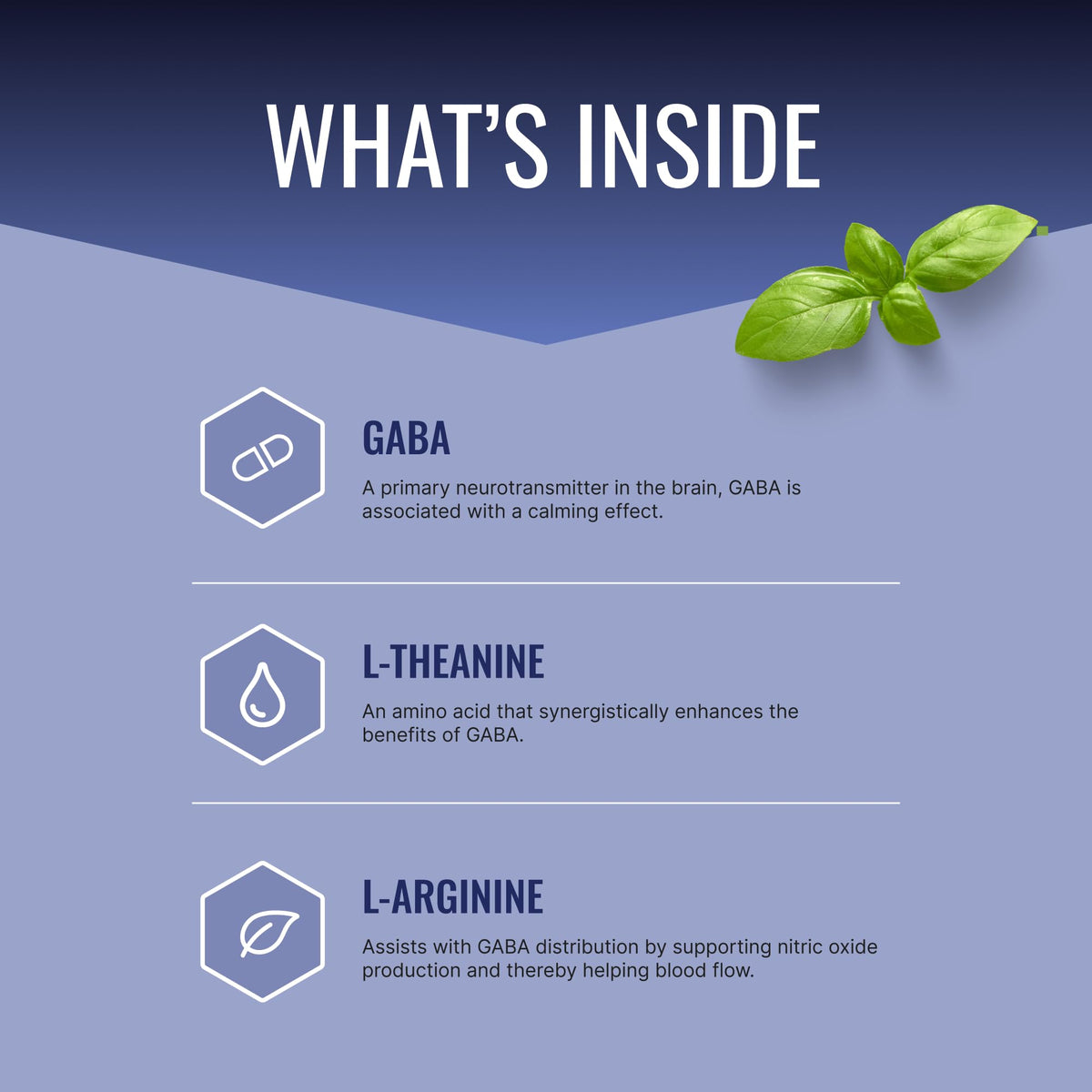 Approved Science GABA Complex - 60 Capsules
