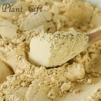 Plant Gift Hericium Erinaceus Powder - 100g - image 3