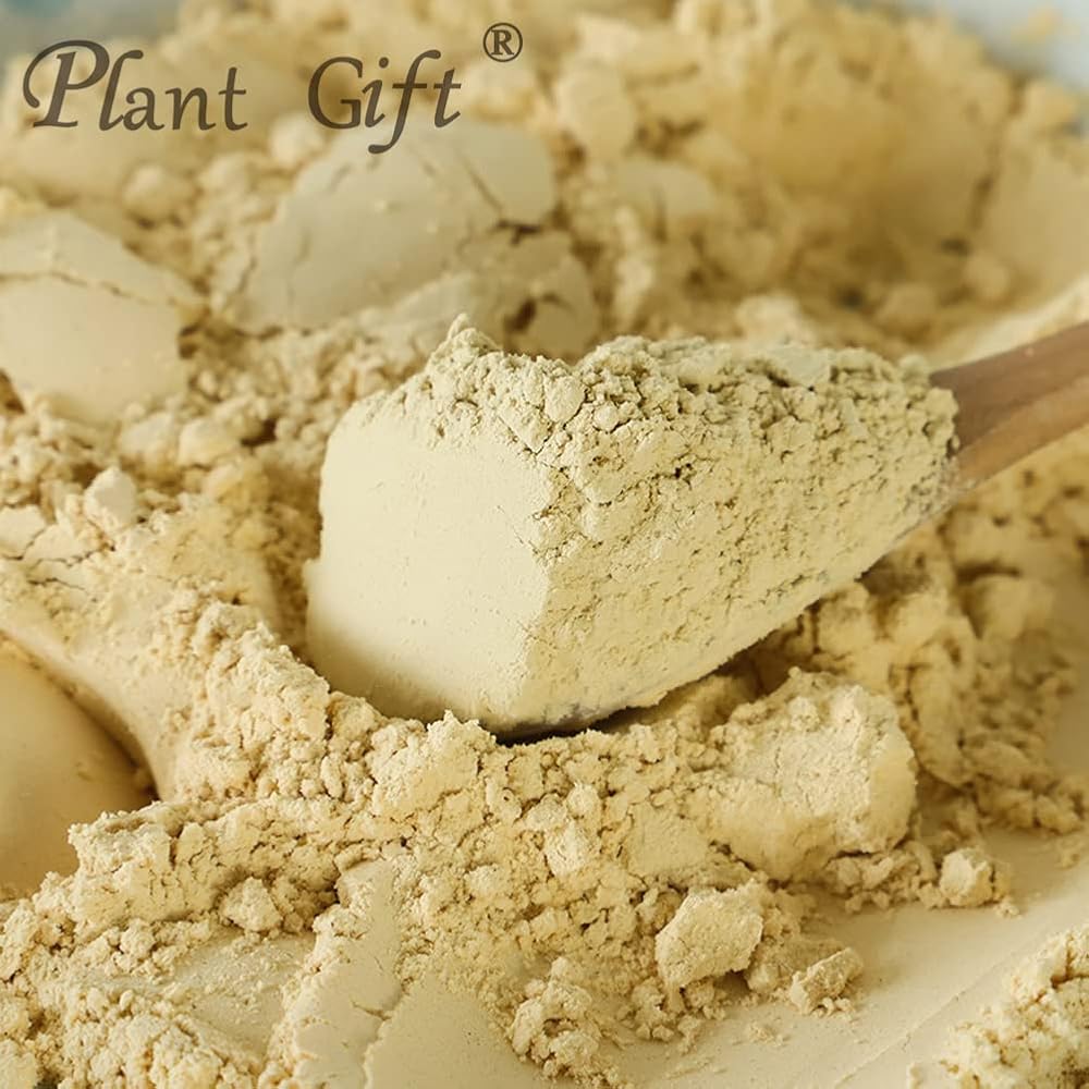 Plant Gift Hericium Erinaceus Powder - 100g - image 3