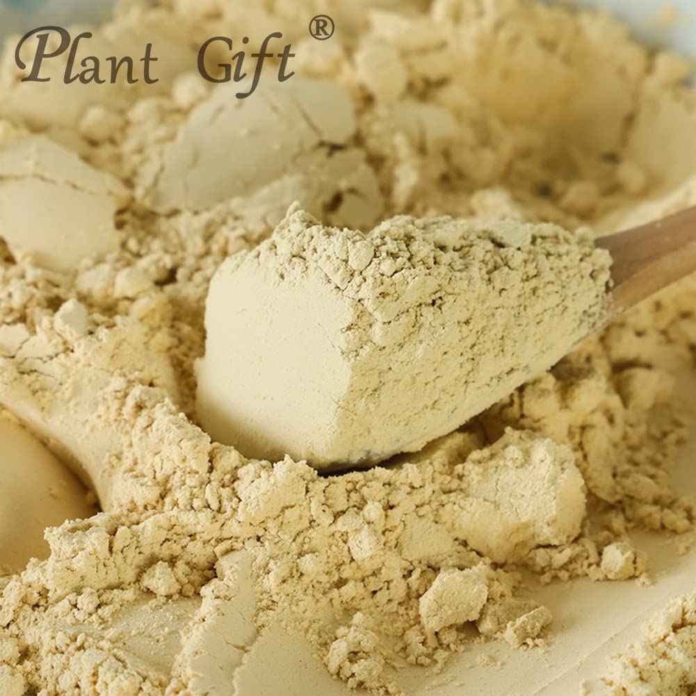 Plant Gift Hericium Mushroom Powder - 100g - image 3