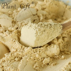 Plant Gift Hericium Mushroom Powder - 100g - image 3