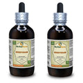 Herbal Terra LLC Sweetgrass (Hierochloe odorata) Tincture