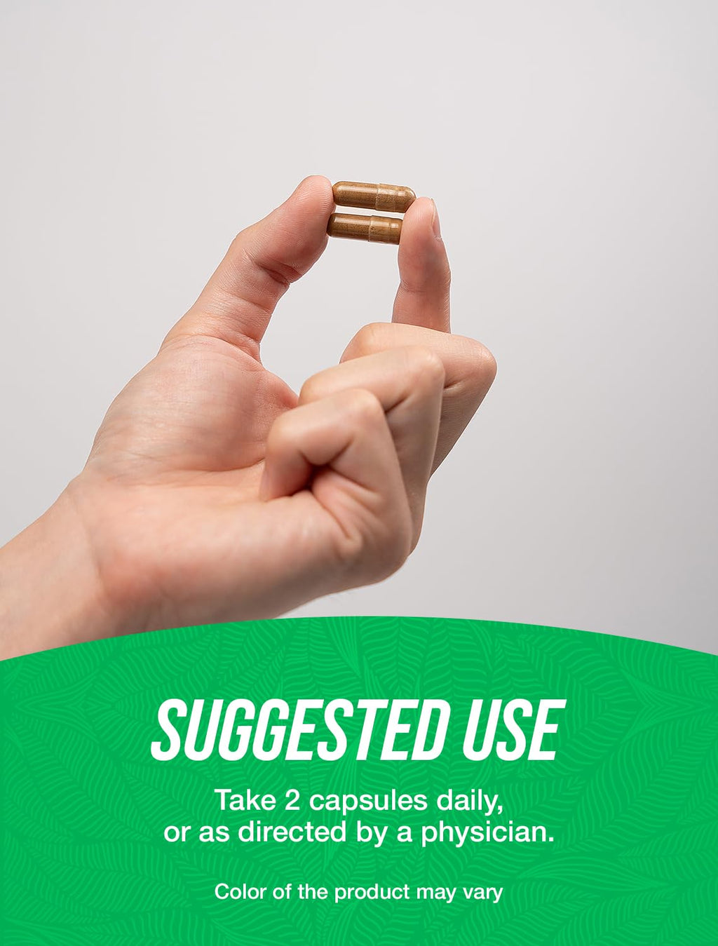 BulkSupplements Celery Seed Extract Capsules - 240 Vegetarian Capsules - image 4