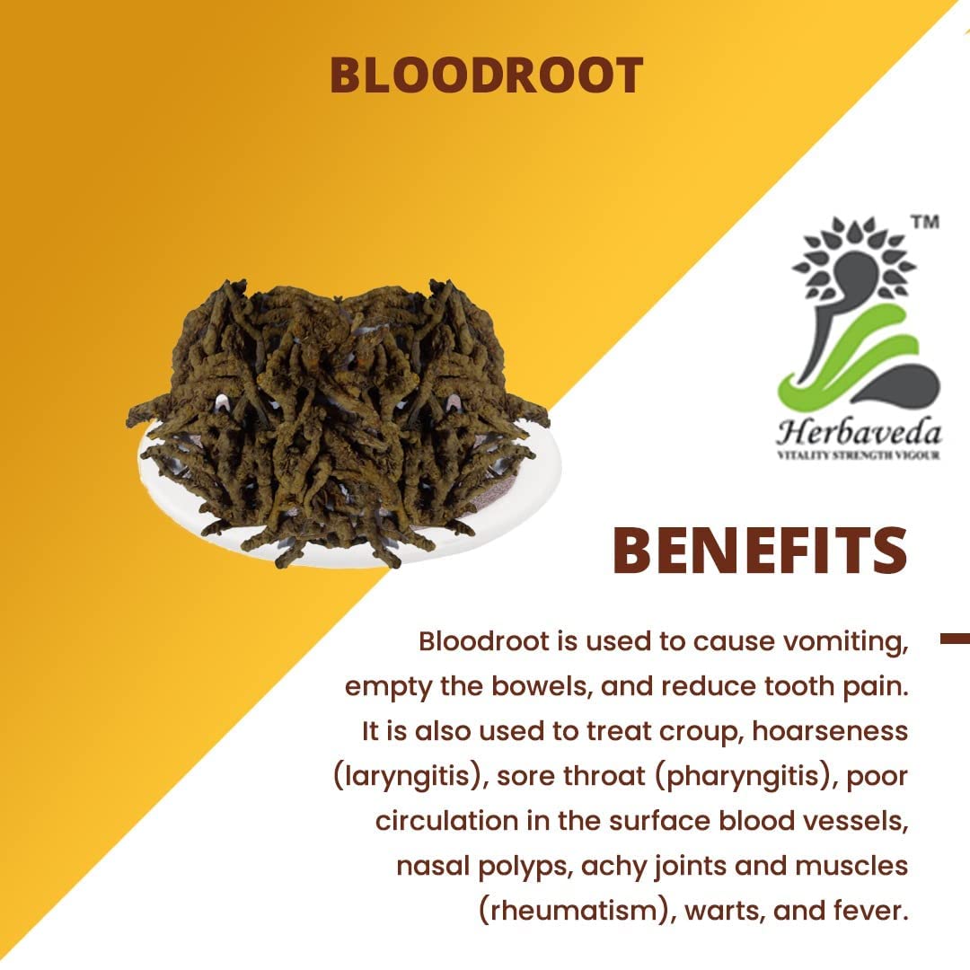 Metrol Herbaveda Bloodroot Powder - 200g - image 2
