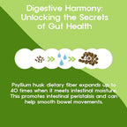 BTGIN Jangdabium Psyllium Husk Fiber Granules - 30 Packets - image 4