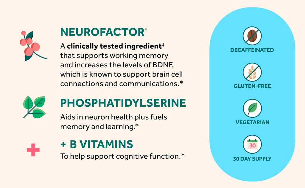 NEURIVA Plus Brain Supplement for Memory and Focus, 30 Capsules