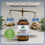 Pure Mountain Botanicals Rhodiola Rosea 250mg - 60 Vegetarian Capsules - image 7