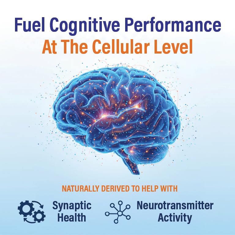 Neutein Brain Supplements for Memory and Focus (60 Capsules)