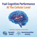 Neutein Brain Supplements for Memory and Focus (60 Capsules)