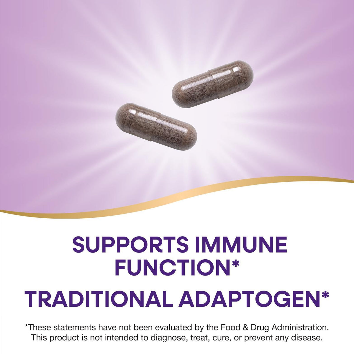 Nature's Way Reishi Mushroom Extract Immune Support - 100 Capsules - image 4
