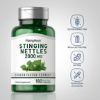 Piping Rock Stinging Nettles Supplement - 180 Capsules - image 3