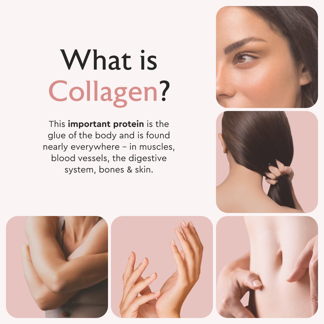 Alaya Naturals Multi Collagen 5 Types Capsules - 120 Count - image 5