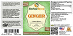 Herbal Terra LLC Ginger (Zingiber Officinale) Tincture