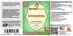 Herbal Terra LLC Schisandra (Schisandra Chinensis) Tincture