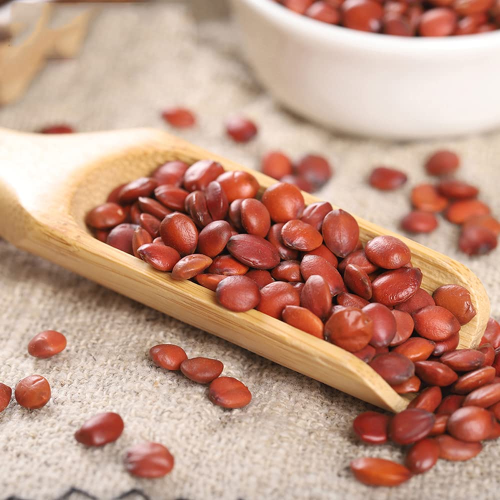 CHEWYZ Zizyphus Jujuba Spine Date Seed - 500 g - image 2