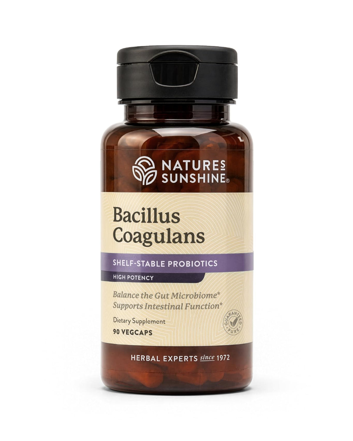 Nature's Sunshine Bacillus Coagulans NutriBiome - 90 Vegetarian Capsules