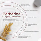 ATEMPO Berberine with Ceylon Cinnamon 1500mg - 120 Capsules - image 3