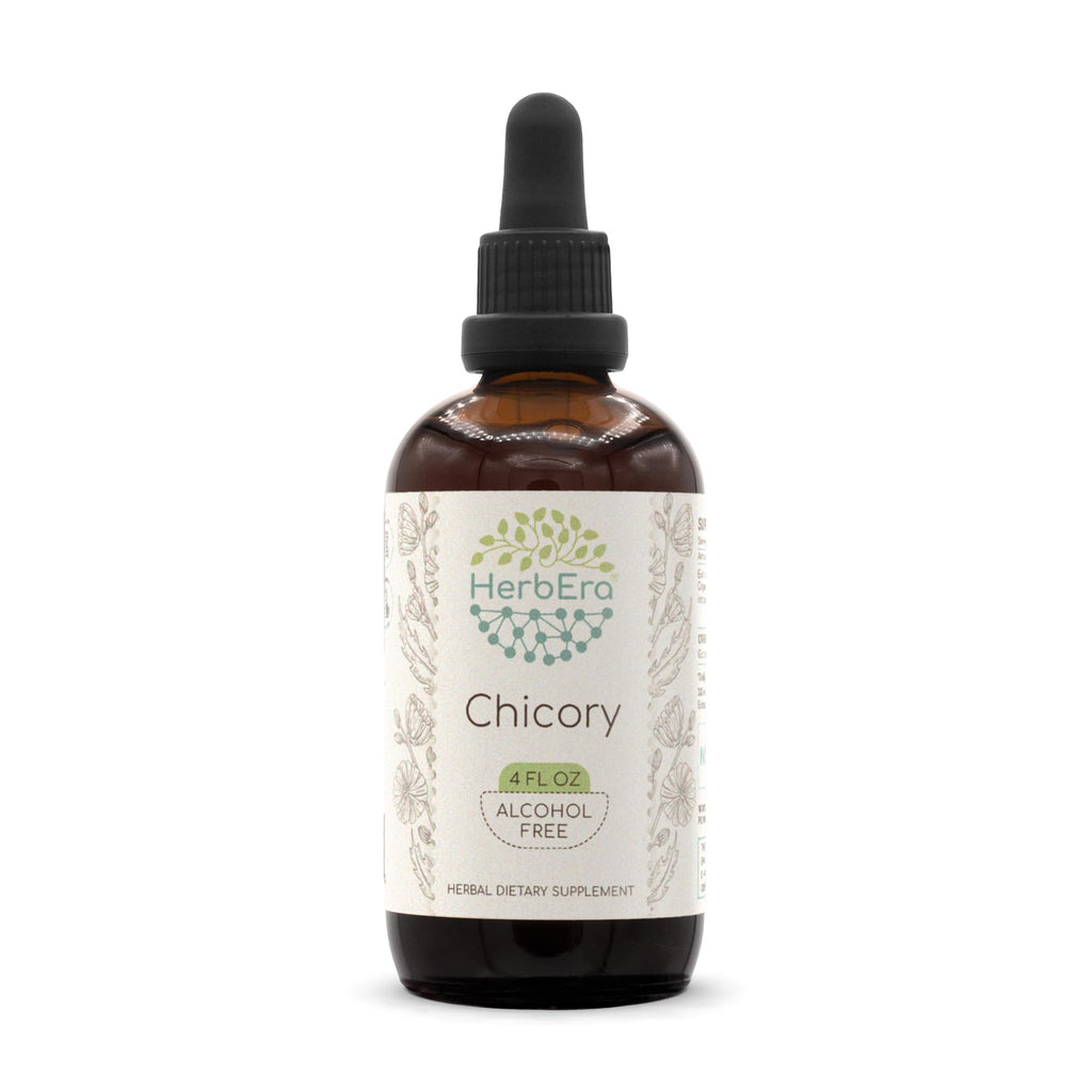 HerbEra Chicory B120 Alcohol-Free Herbal Extract Tincture - 4 fl oz