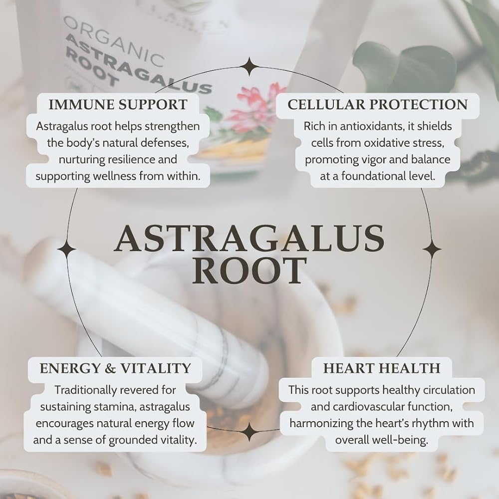 Elanen Naturals Organic Astragalus Root Cut & Sifted - 4 oz - image 3