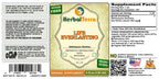 Herbal Terra LLC Life Everlasting (Helichrysum stoechas) Tincture