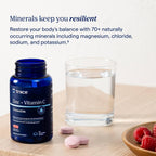 Trace Minerals Zinc + Vitamin C Chewable Gummies Immune Support - 60 Count - image 5