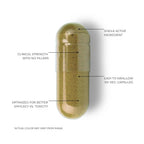 FOLIUS LABS Bacopa Monnieri 750mg Cognitive Support - 120 Capsules - image 6