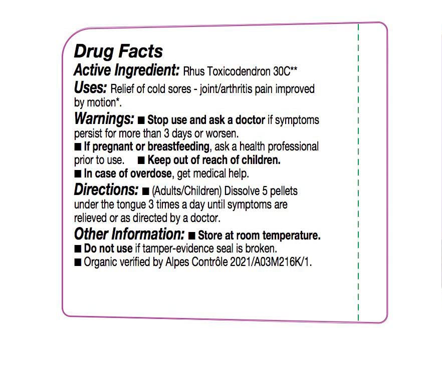 OLLOÏS Rhus Toxicodendron 30C Organic Homeopathic - 80 Pellets - image 3