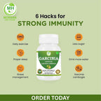 Morsan Healthcare Garcinia Cambogia 500 mg - 60 Vegetarian Capsules - image 4