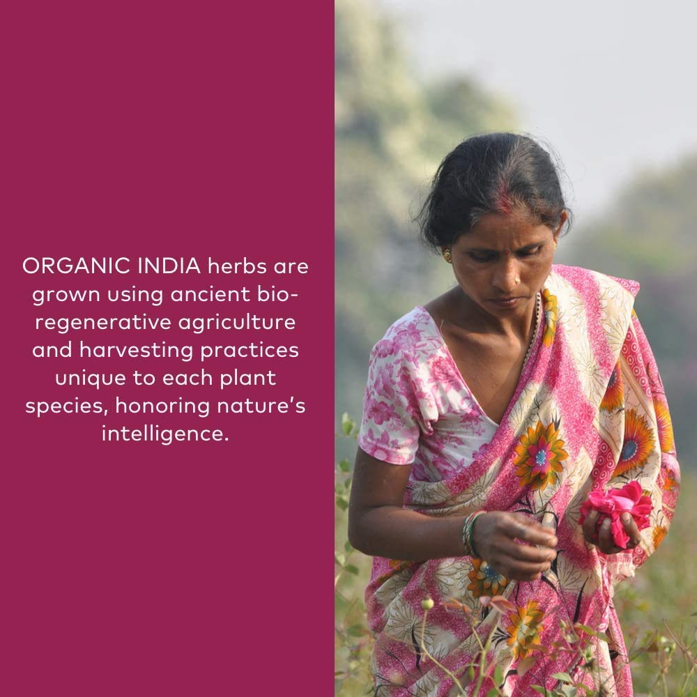 ORGANIC INDIA Ashwagandha Powder Organic Herbal Supplement - 1lb - image 4
