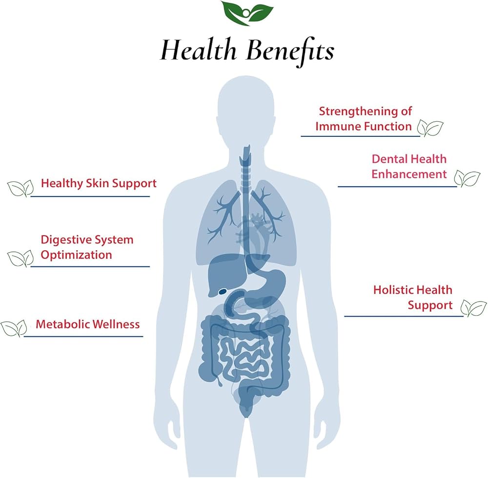 Foods For Gut Lactobacillus Brevis Probiotic Powder 200 Billion cfu's