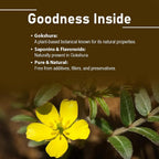 minature Gokshura Tribulus Terrestris Tablets - 90 Count - image 2
