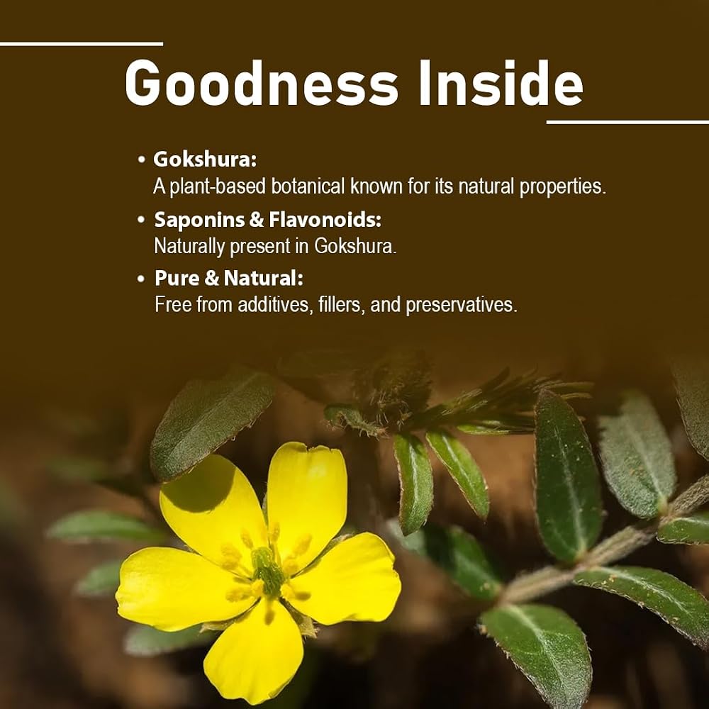 minature Gokshura Tribulus Terrestris Tablets - 90 Count - image 2