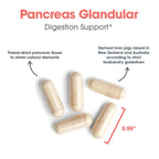 Allergy Research Group Pancreas Natural Glandular 425 mg - 60 Capsules - image 4