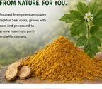Leafy Organic Goldenseal Root Powder - 3.5 oz - image 4