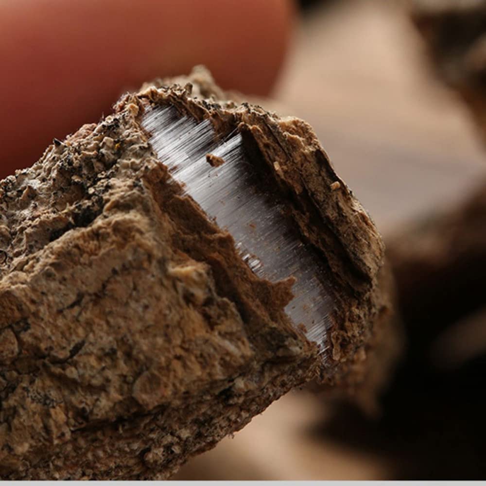 Generic Cortex Eucommiae,Eucommia Ulmoides Oliv,Eucommia