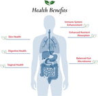 Foods For Gut Lactobacillus Gasseri Probiotic Powder - 30g - image 4
