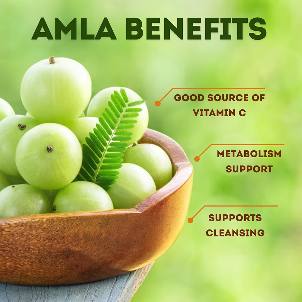 Hebhac Herbs Amla Capsules Vitamin C Supplement - 120 Capsules - image 5