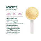 SEED Chocho Pure Plant-Based Protein Powder - 17.6 oz - image 2
