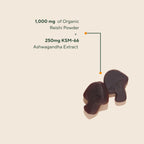 OM MUSHROOM SUPERFOOD Mushroom Gummies